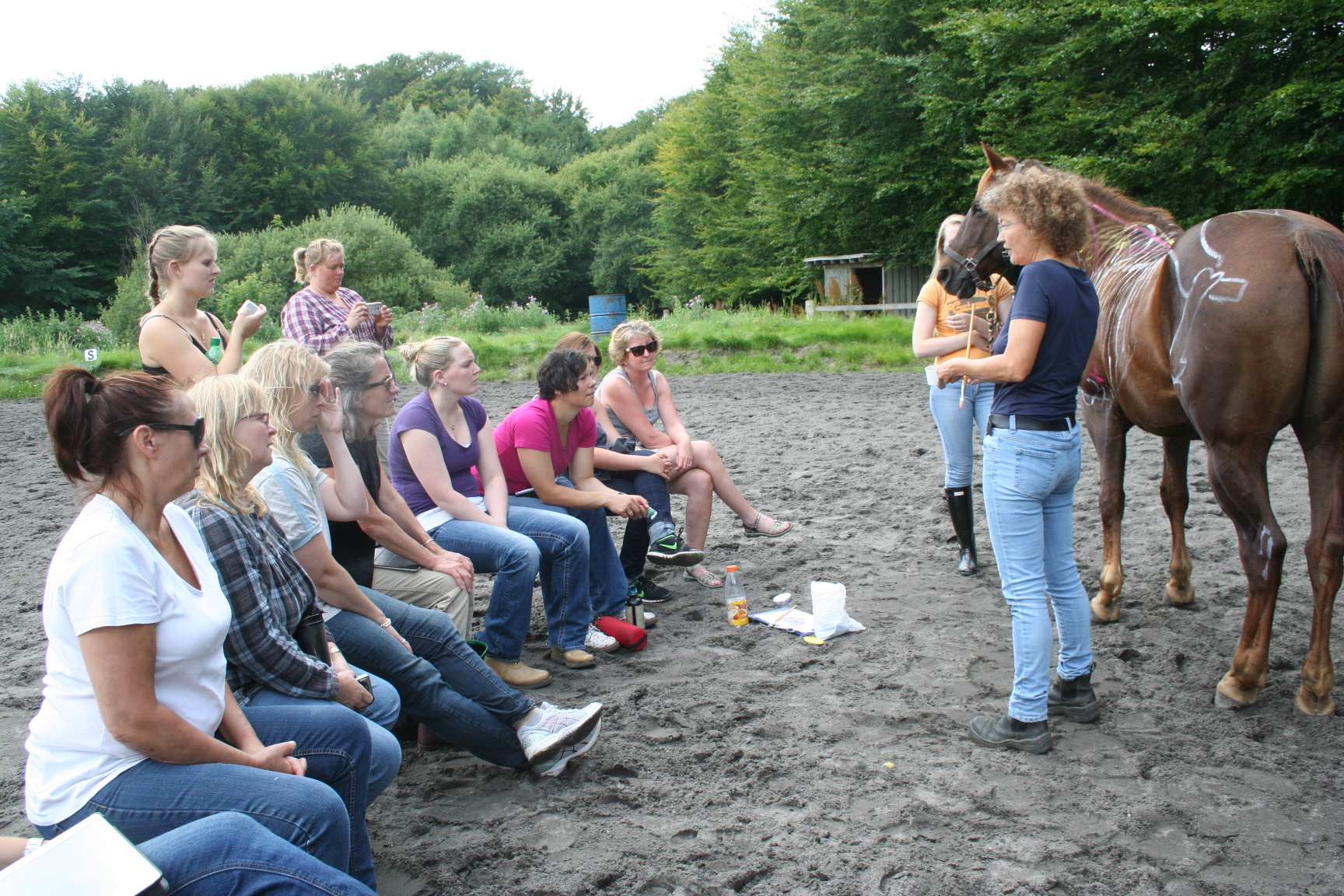hestemassage Hestekundskab brn ridetur ridning ponytrk dragr straightness training