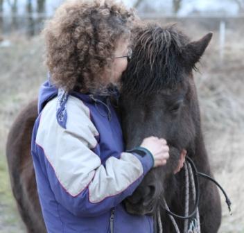 hestemassage Hestekundskab brn ridetur ridning ponytrk dragr