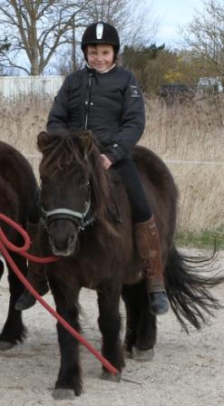 hestemassage Hestekundskab brn ridetur ridning ponytrk dragr