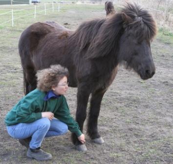 hestemassage Hestekundskab brn ridetur ridning ponytrk dragr